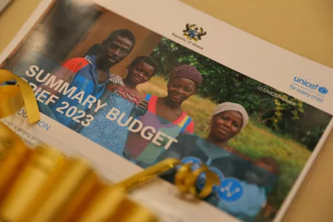 The 2023 Summary Budget Brief document.