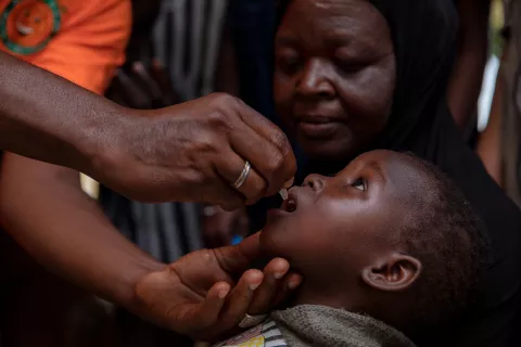 A child being vaccinated against poliomyelitis.