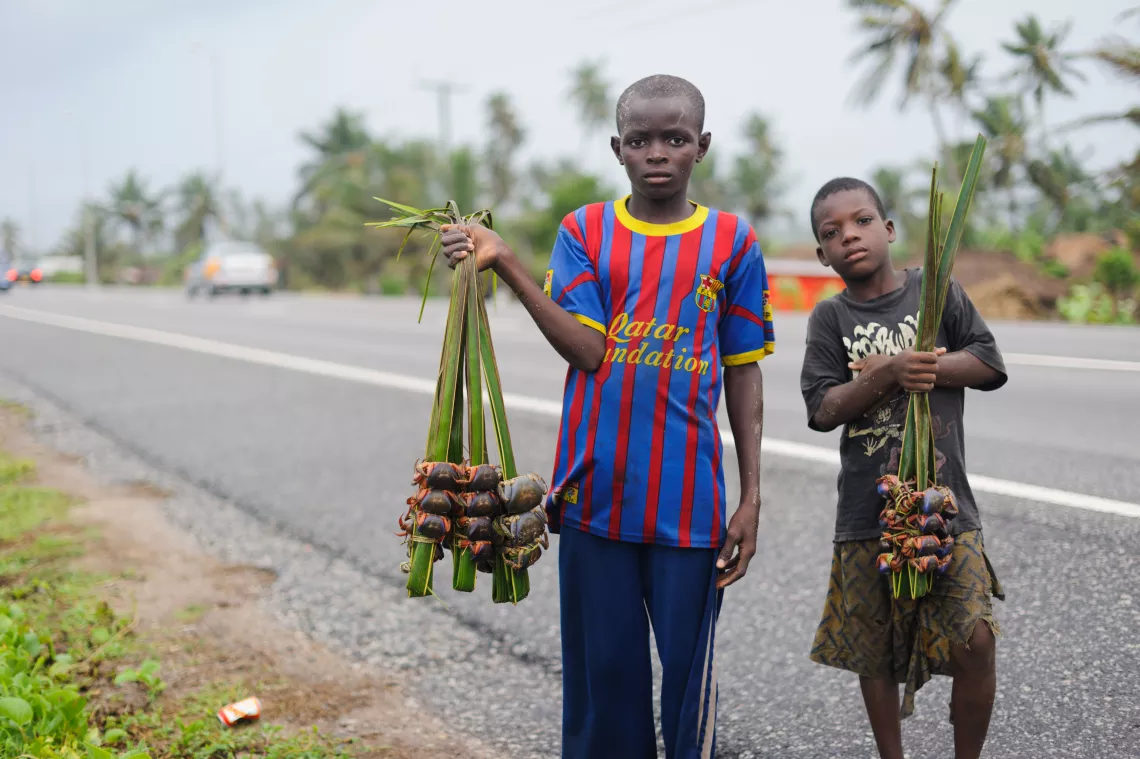 Asiko (left) and Ishmael selling crabs by the roadside in Cape Coast in the Central Region of Ghana. Neither boy goes to school - they say they would like to, but cannot afford to do so. They find the crabs in nearby mangrove swamps, and sell them for about GHC 2.00 ($1.10) for a bunch of three. They say they give the money they earn to their parents, who are subsistence traders.