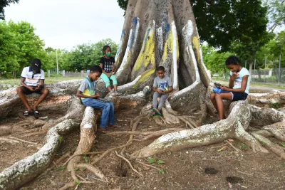 Students sit under a tree to use the internet while observing the recommended social distance at Little Bay Primary and Infant school.