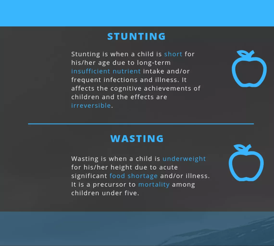 info on stunting and wasting