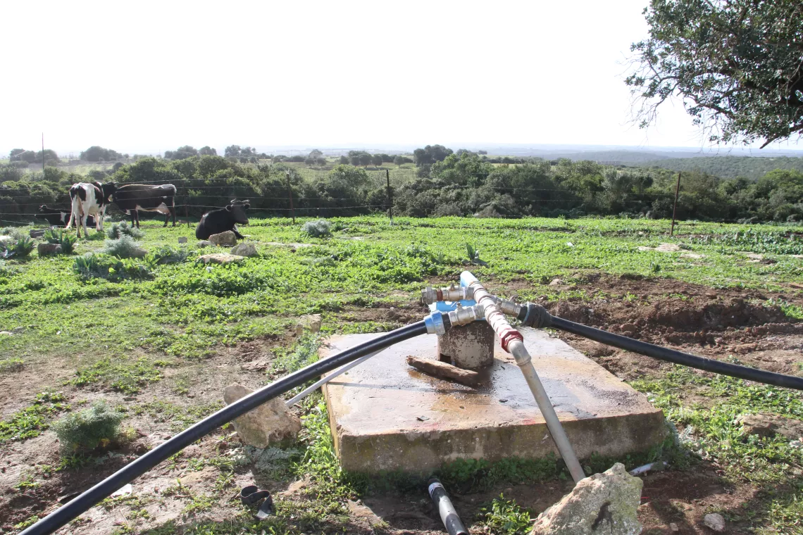 A recently rehabilitated borehole breathes life into the landscape of Bayda, offering a fresh flow for both farming and livestock, and heralding hope for the community. ©UNICEF/Bayda/2024/Abduladeem Ajaj