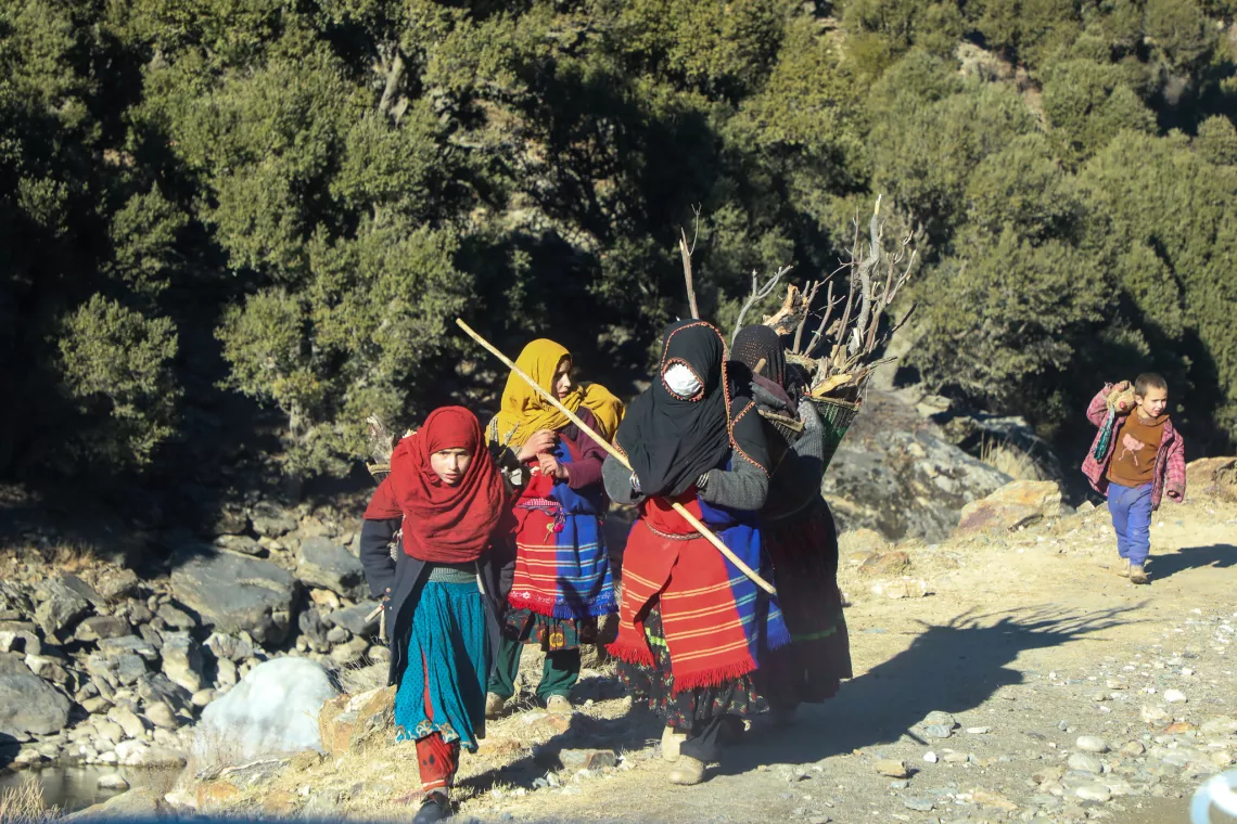Afghanistan. A group of women and children return from the mountains after collecting firewood to warm their homes during the winter in Nuristan Province in eastern Afghanistan. 