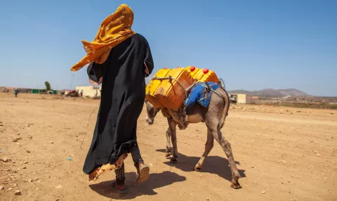 man-walking-with-donkey-transporting-water