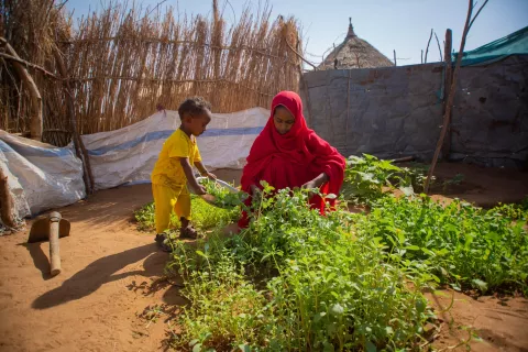 home vegetable gardens, nutrition, infant nutrition, Sudan, malnutrition prevention, balanced diets, complementary feeding, infant and young child feeding (IYCF)