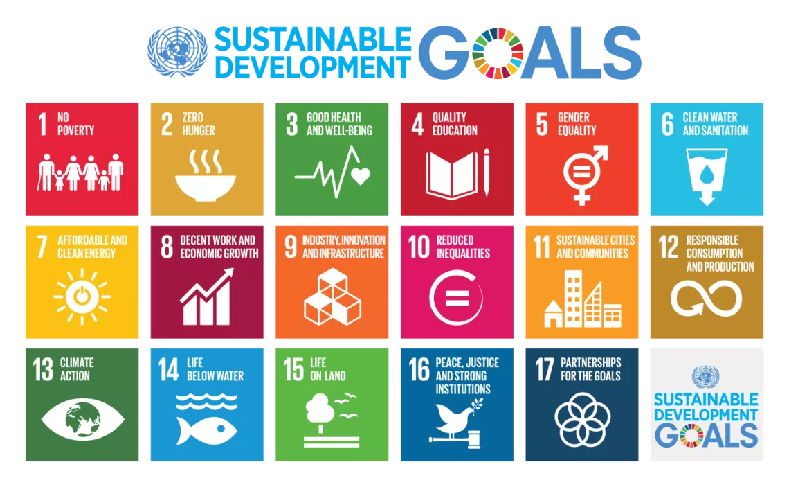 Sustainable development goals - icons