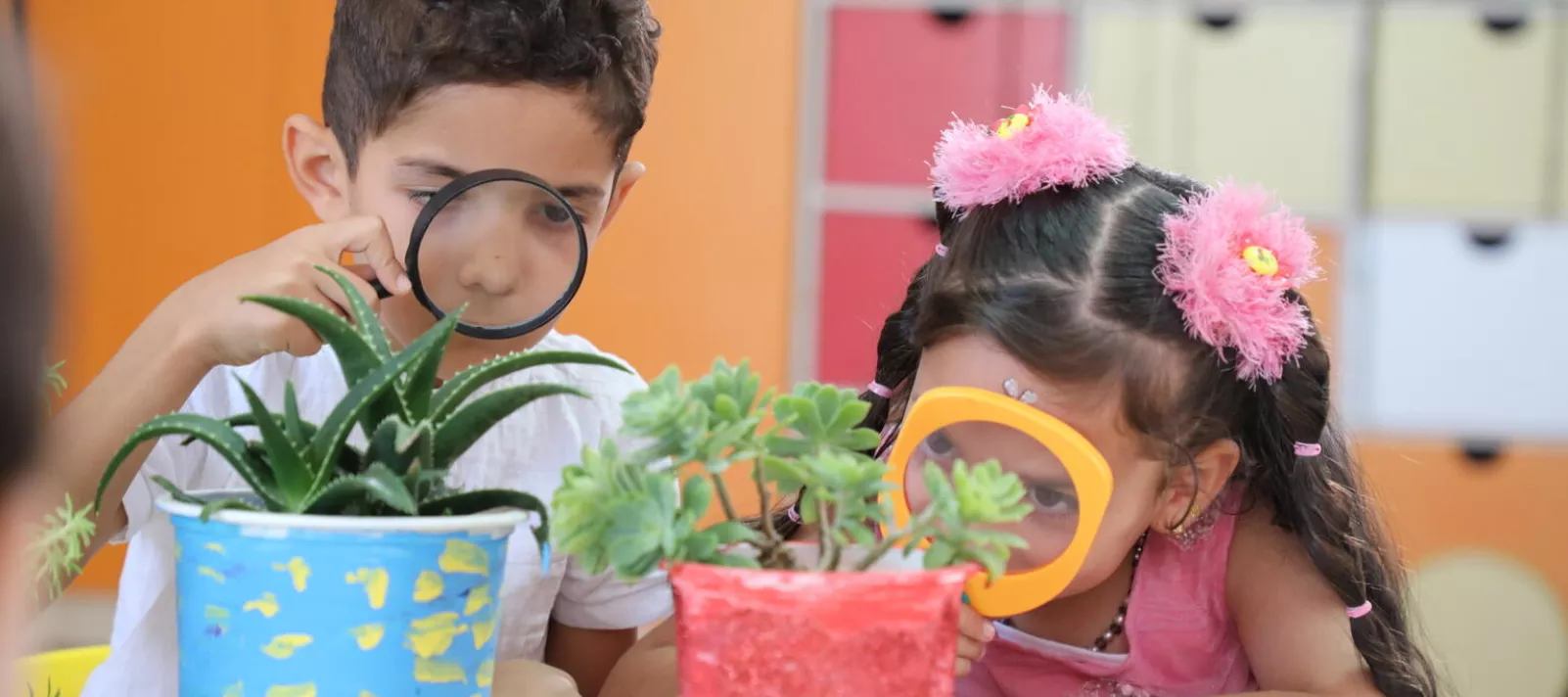 children observing plants