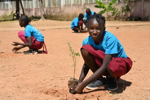 An adolescent girl planting a tree in a yard with other students doing the same in the background