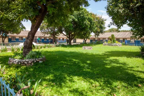 A welcoming enchanting green oasis of Twashuka Primary School in Lusaka’s Kanyama township