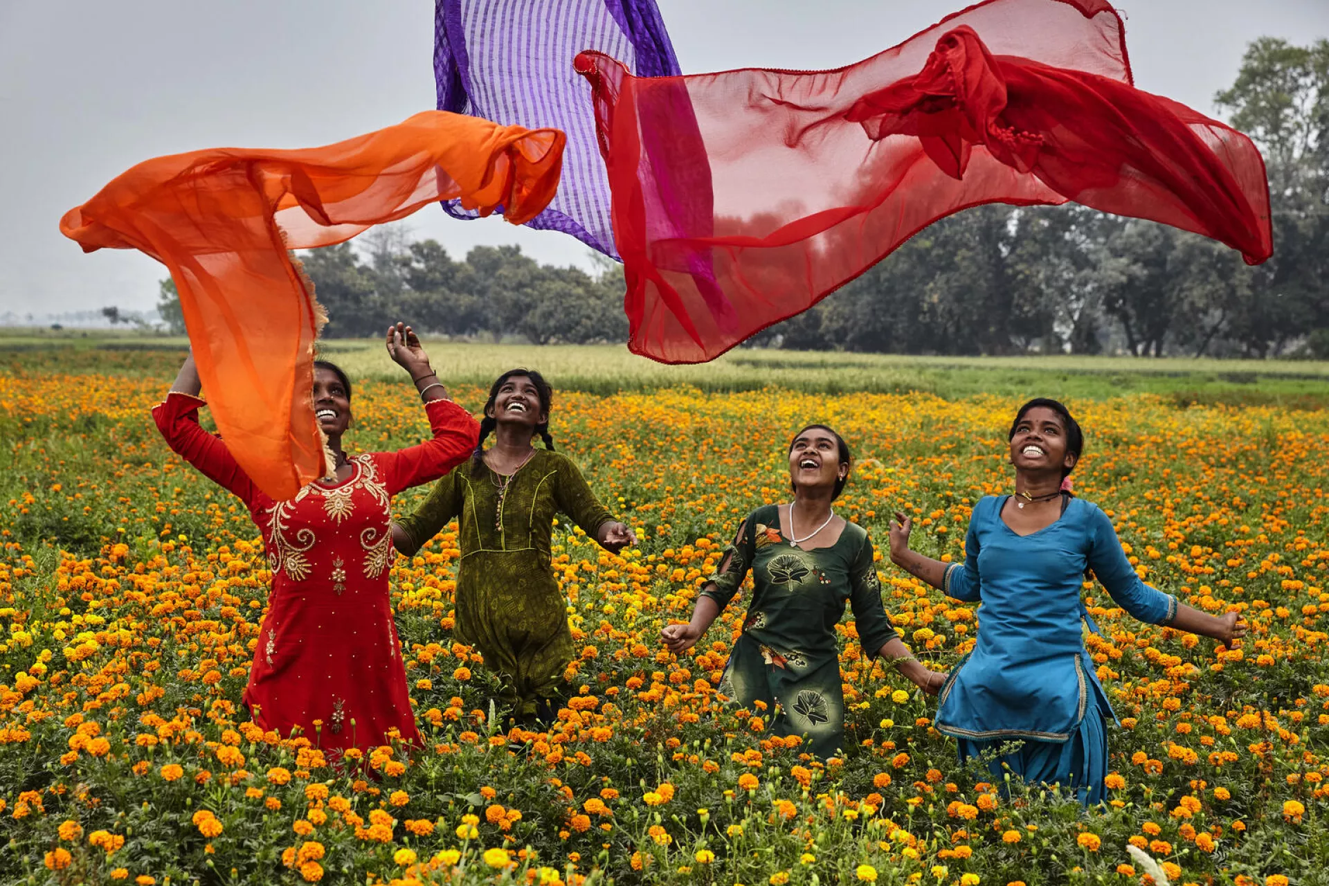A group of adolescent girls wearing brightly coloured saris in India playing in a field of yellow flowers