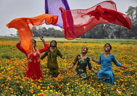 A group of adolescent girls wearing brightly coloured saris in India playing in a field of yellow flowers