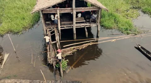 A classroom in a tree house in the middle of a body of water