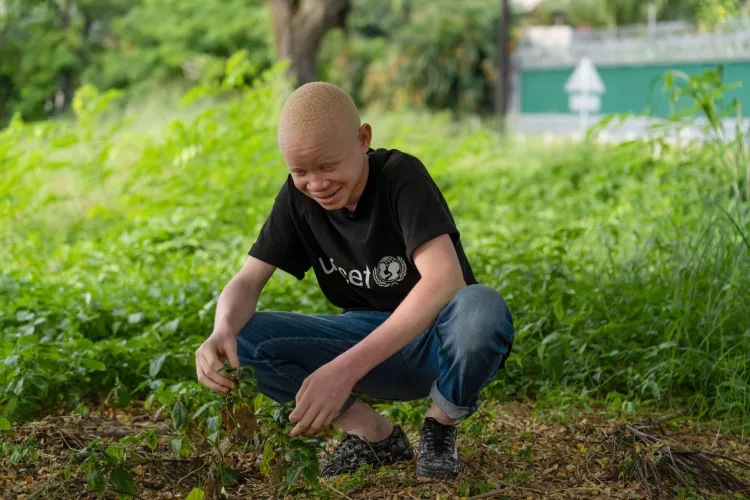 A young boy is planting a tree in a garden